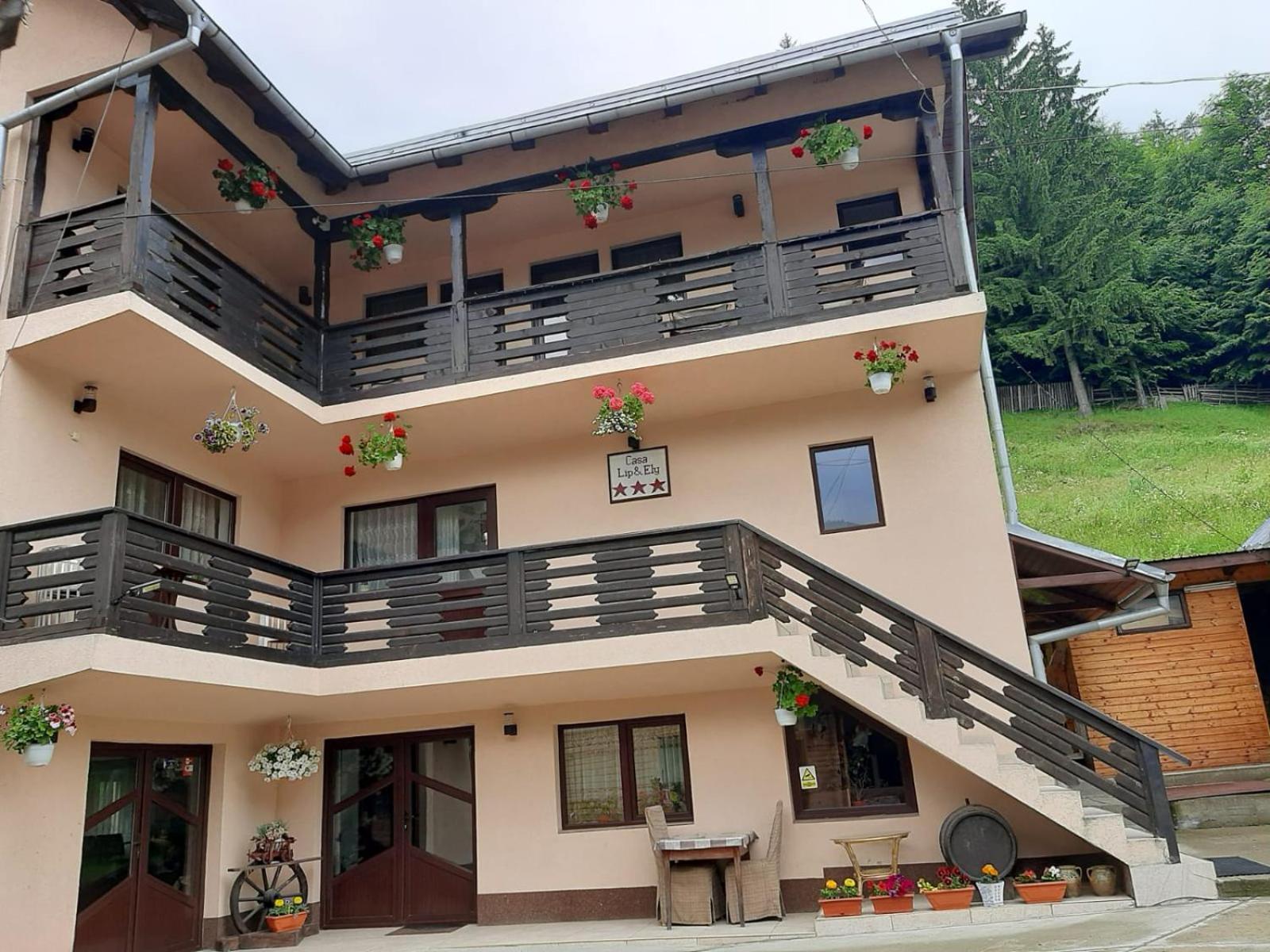 Hotel Lip Si Ely à Dîmbovicioara Extérieur photo
