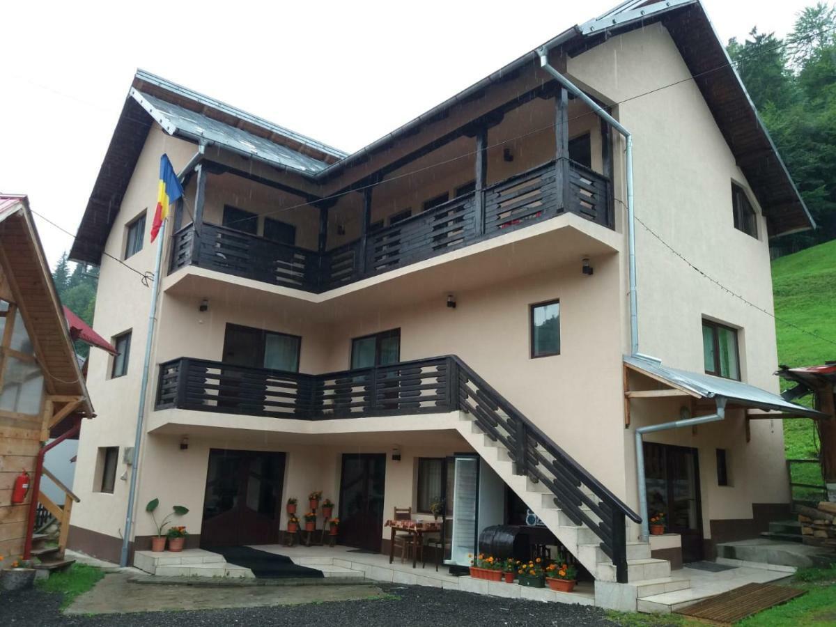 Hotel Lip Si Ely à Dîmbovicioara Extérieur photo
